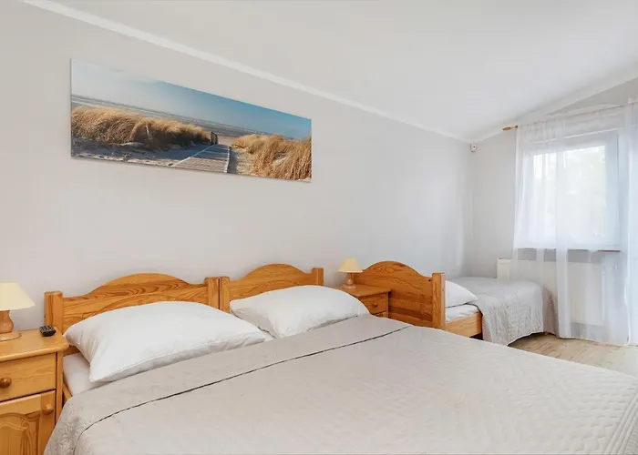 Amber - I & Pensión Dziwnów